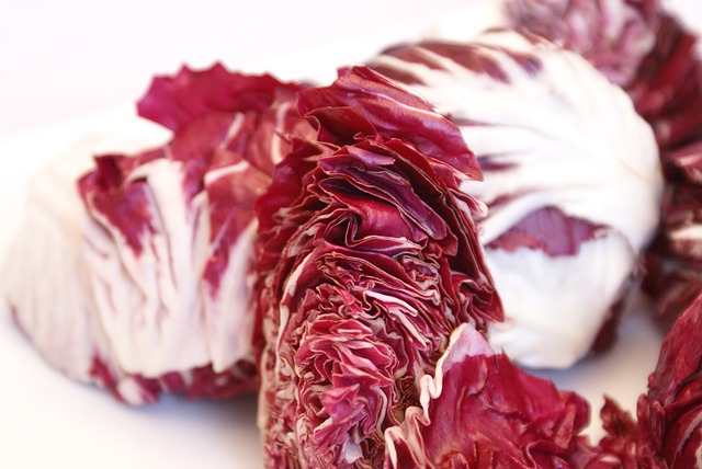 insalate-radicchio-pancialeggera