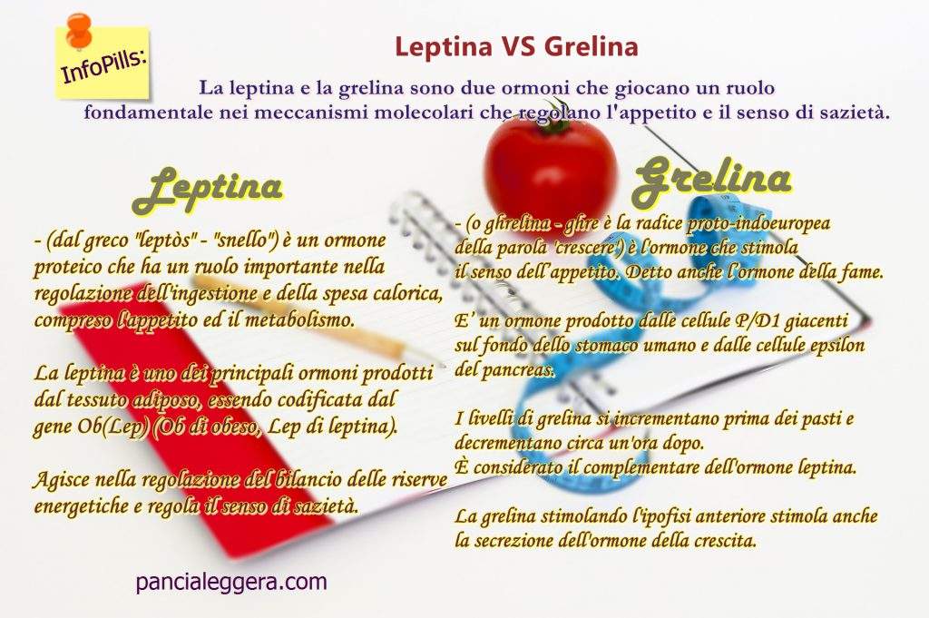 InfoPills-leptina-grelina-pancialeggera