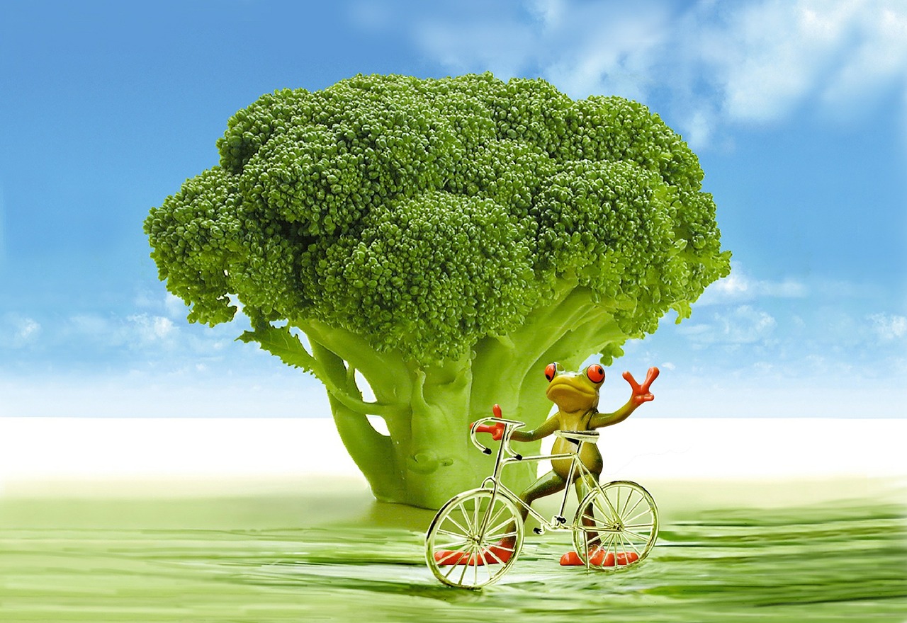 broccoli_metabolismo_pancialeggera