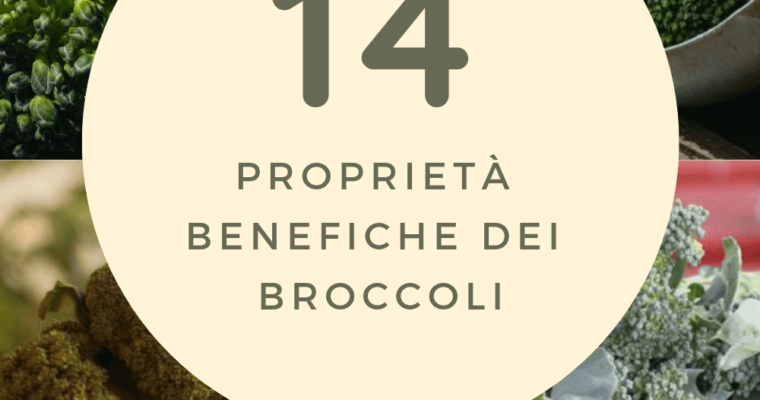 Broccoli – tutte le proprietà benefiche e le controindicazioni