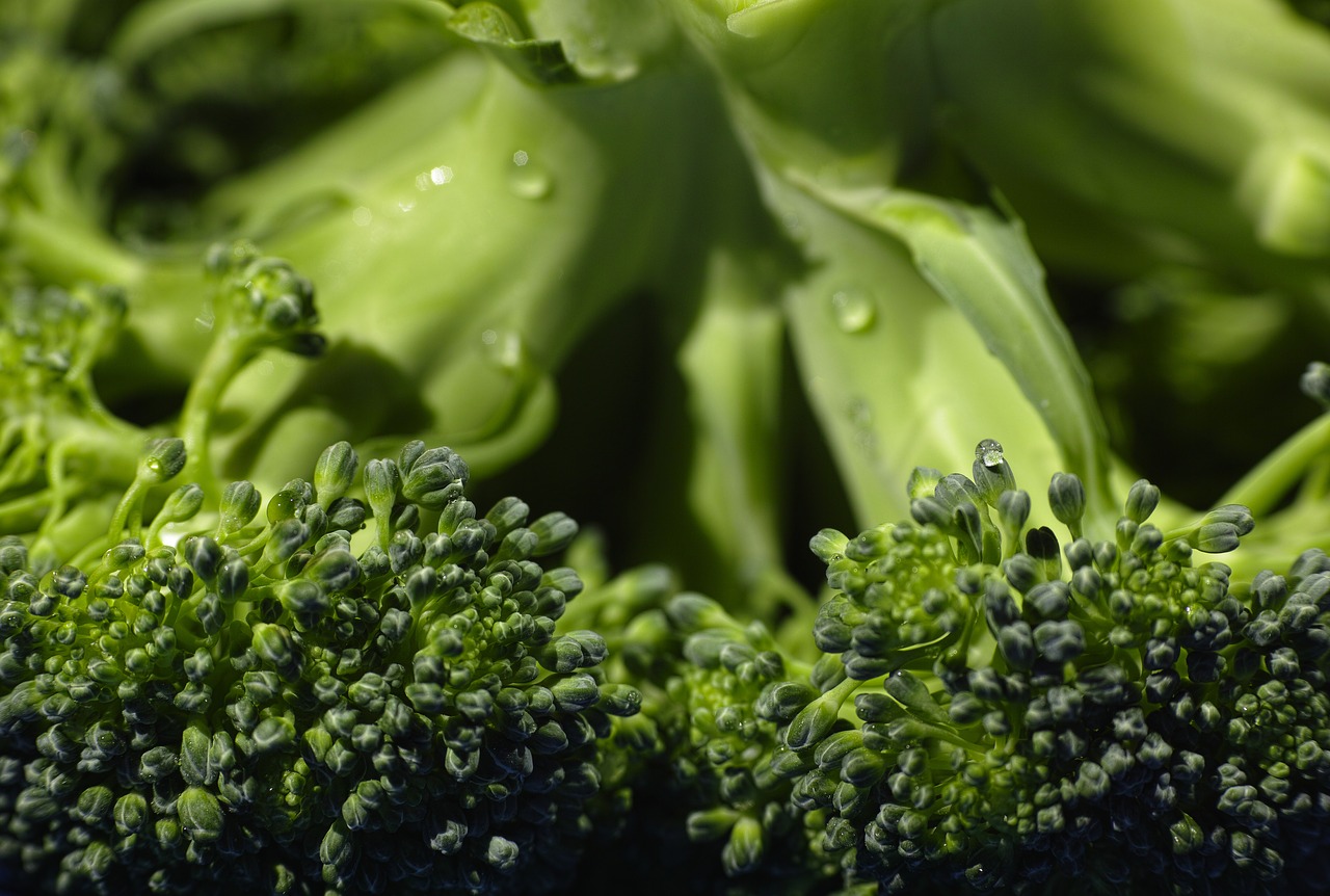 Broccoli – tutte le proprietà benefiche e le controindicazioni