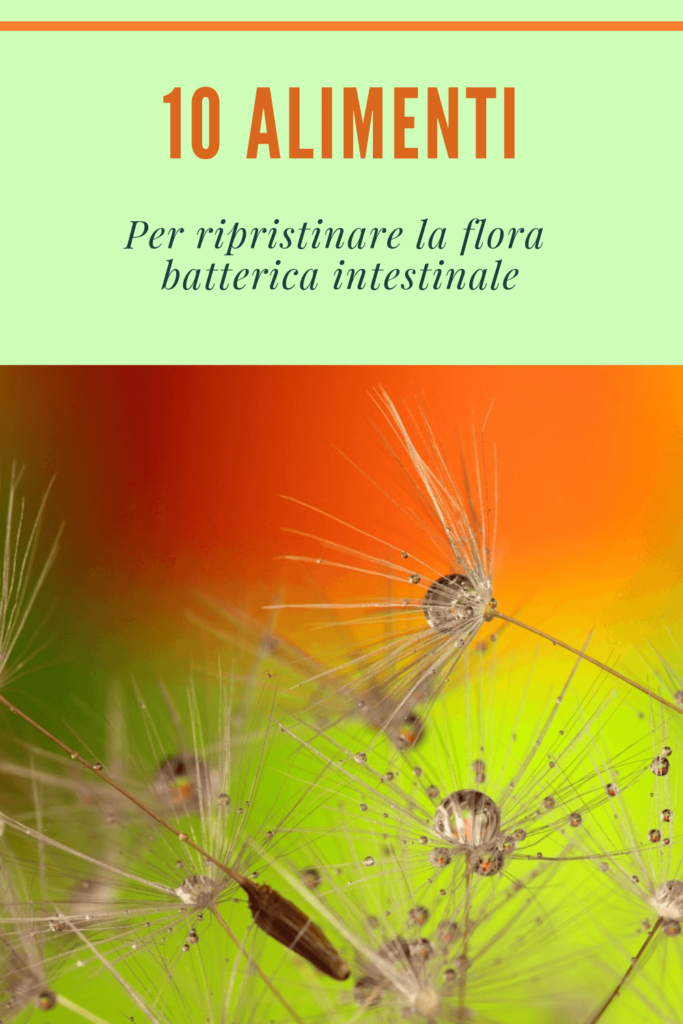 ripristinare velocemente la flora intestinale la migliore dieta mediterranea