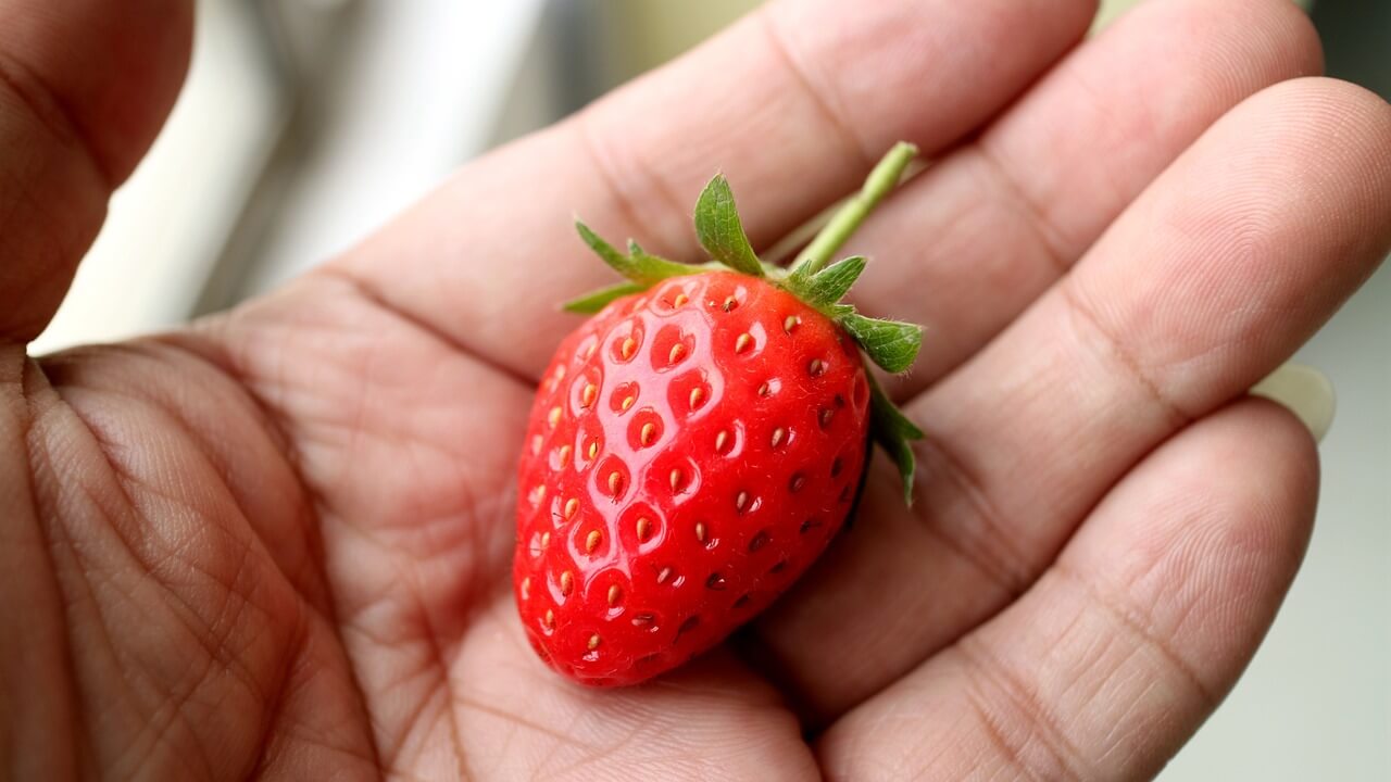 alimentazione-moderna-9-cose-da-sapere-assolutamente-pancialeggera