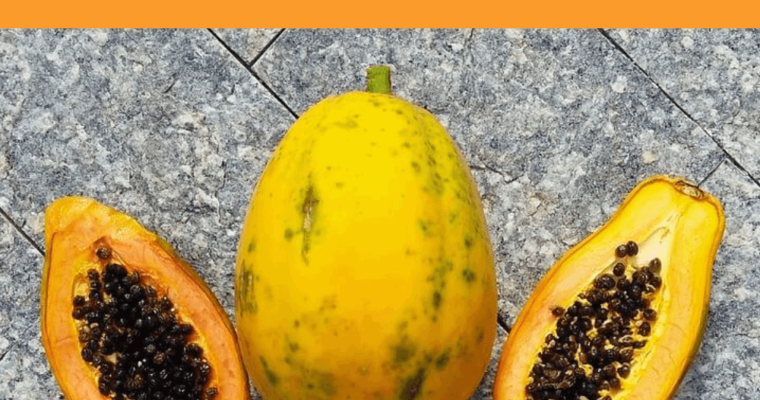 A che serve la papaya fermentata? Benefici, effetti collaterali, controindicazioni e migliori integratori.