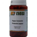 papaya-fermentata-CONUA