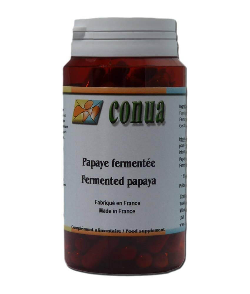 papaya-fermentata-CONUA