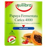 papaya-fermentata-EQUILIBRA