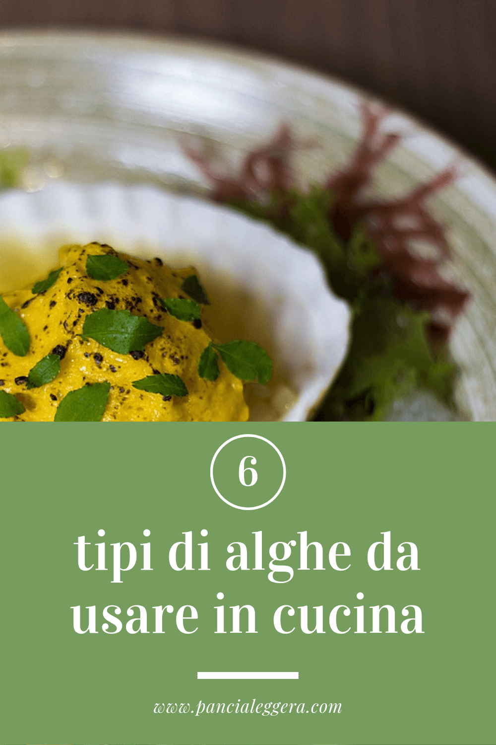 6 tipi di alghe da usare in cucina