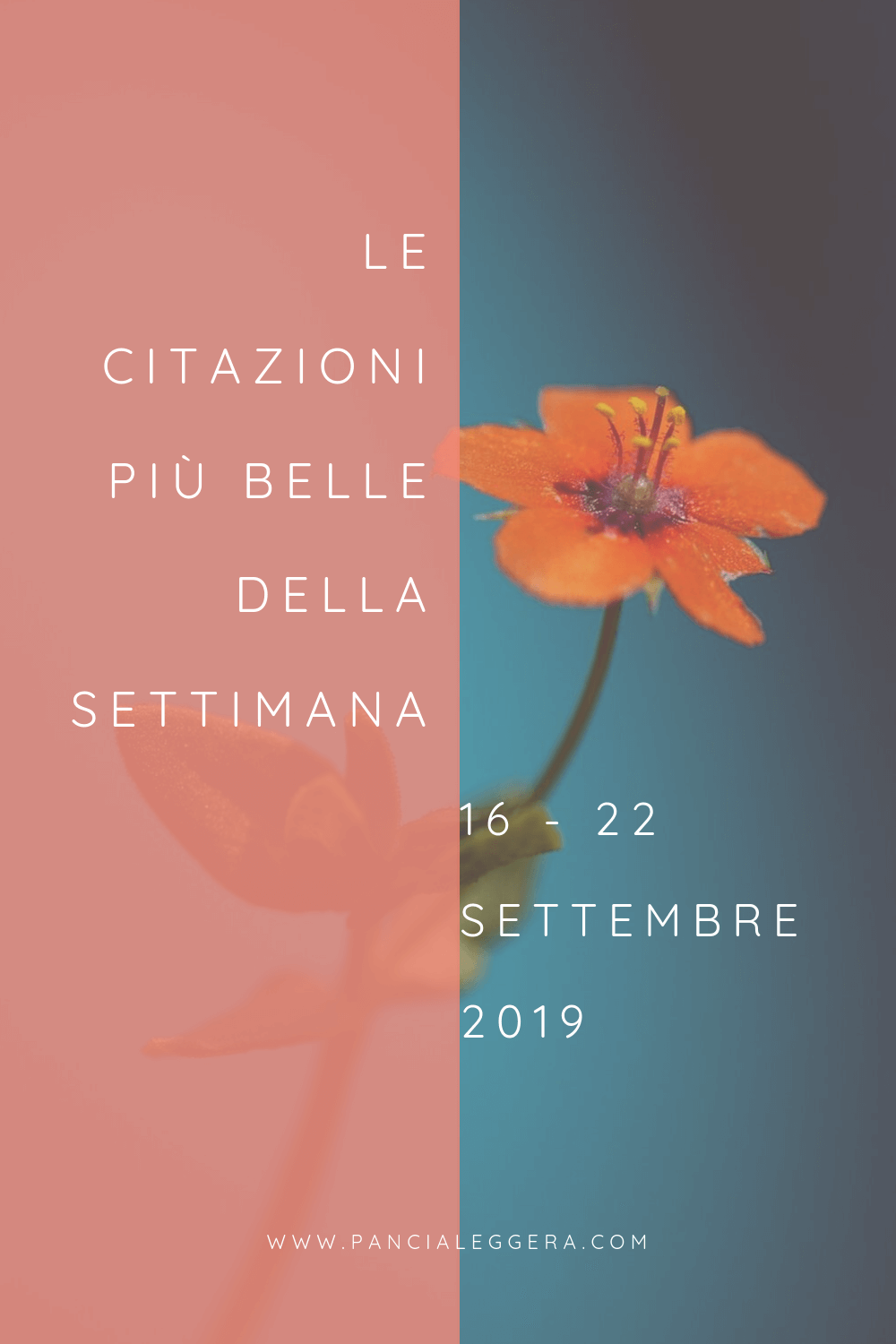 Le citazioni più belle della settimana 16-22 settembre 2019