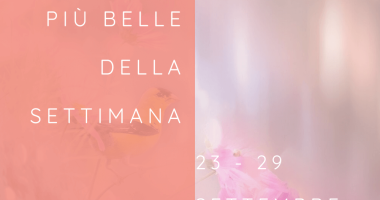 Le citazioni più belle della settimana 23 – 29 settembre 2019