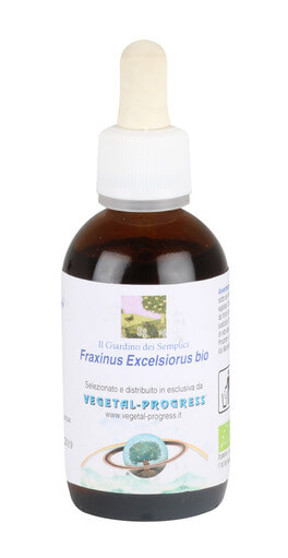 fraxinus excelsiorus - frassino estratto idrogliceroalcolico bio