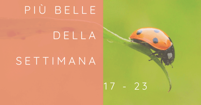 Frasi, aforismi e citazioni più belle della settimana 17 – 23 agosto 2020