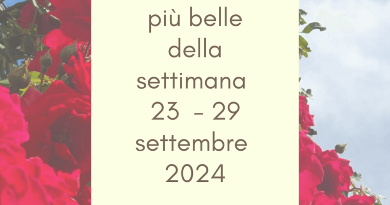 Frasi, aforismi e citazioni più belle della settimana 23 – 29 settembre 2024