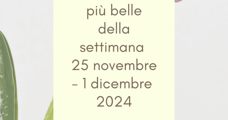 Frasi, aforismi e citazioni più belle della settimana 25 novembre – 1 dicembre 2024