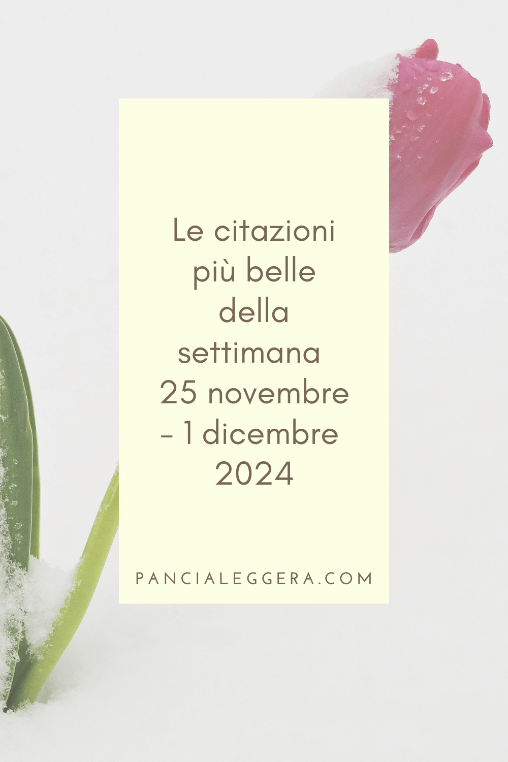 Frasi, aforismi e citazioni più belle della settimana 25 novembre – 1 dicembre 2024