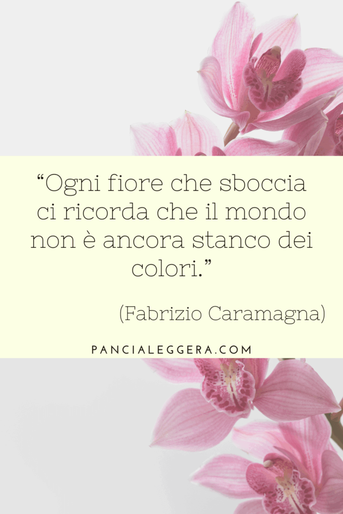 citazione 18 maggio 2025