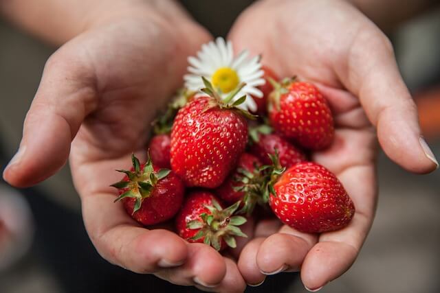 alimentazione, pelle, abbronzatura, estate