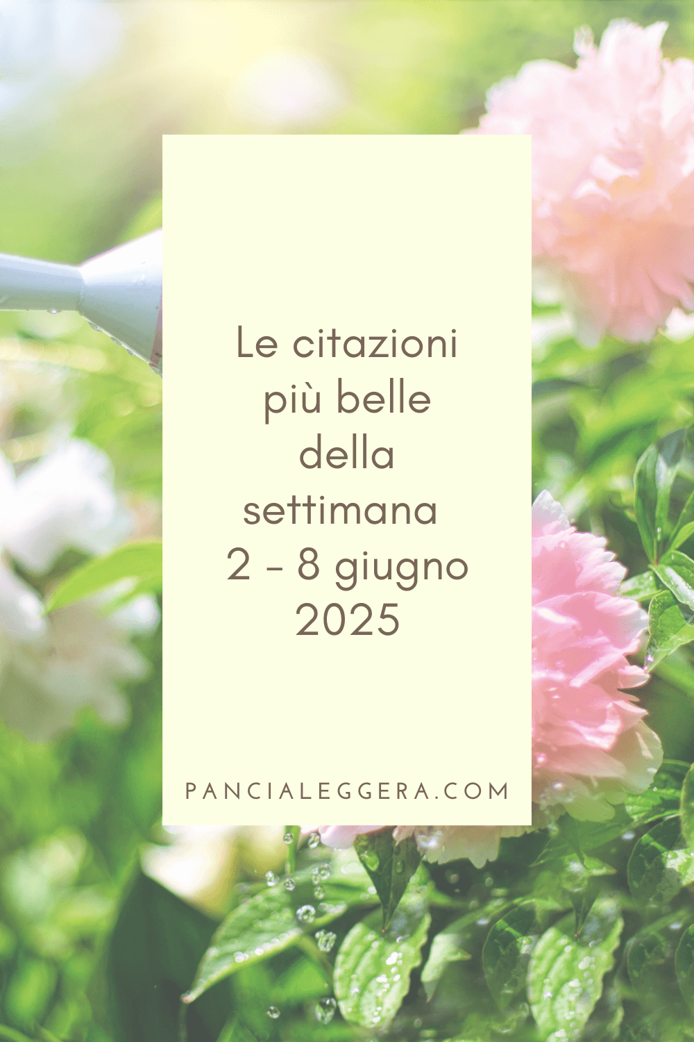 Frasi, aforismi e citazioni più belle della settimana 2 – 8 giugno 2025