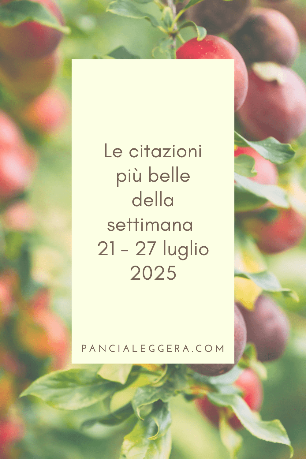 Frasi, aforismi e citazioni più belle della settimana 21 – 27 luglio 2025