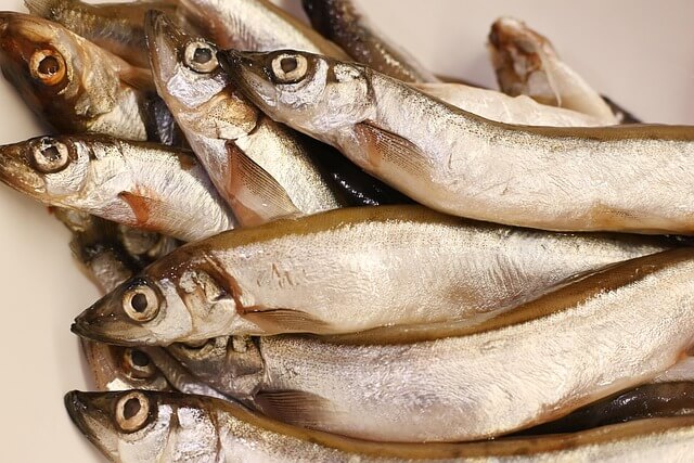 pesce - cattivo odore del sudore