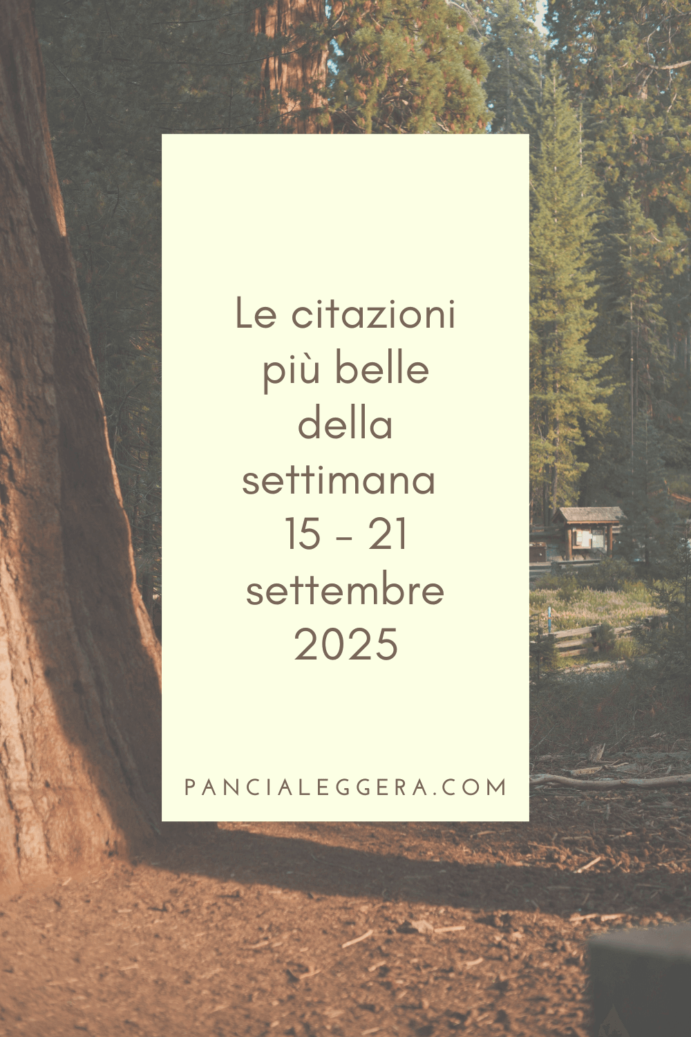 Frasi, aforismi e citazioni più belle della settimana 15 – 21 settembre 2025