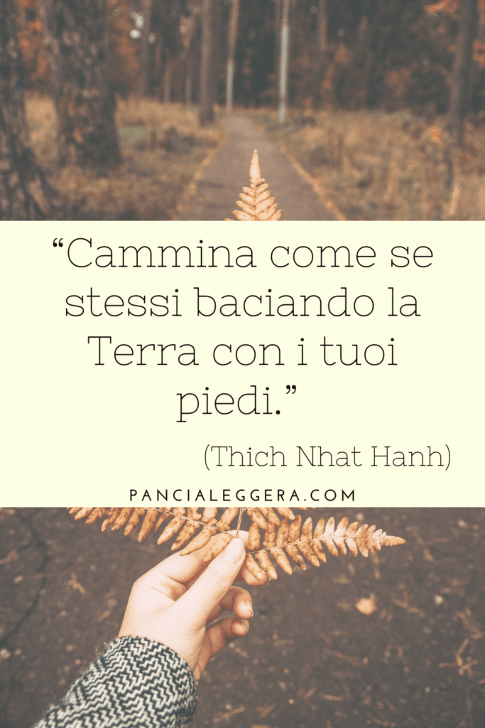 citazione 26 ottobre 2025