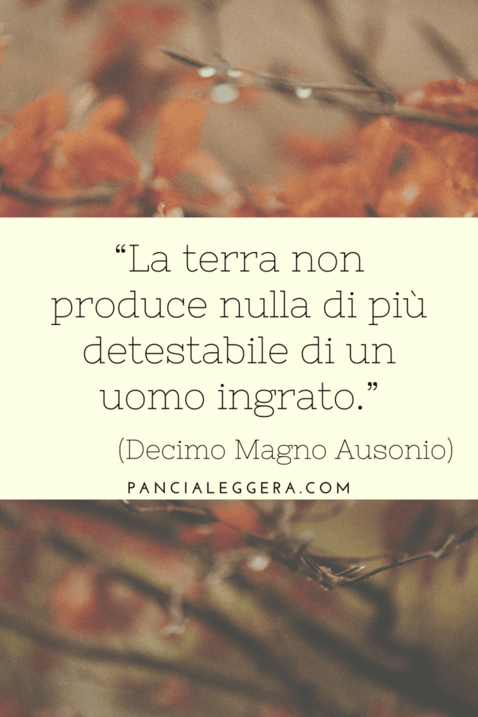 citazione 15 novembre 2025