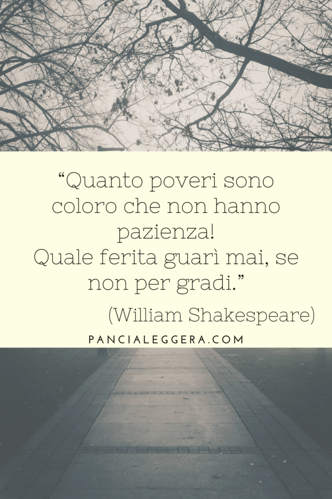 citazione 29 novembre 2025