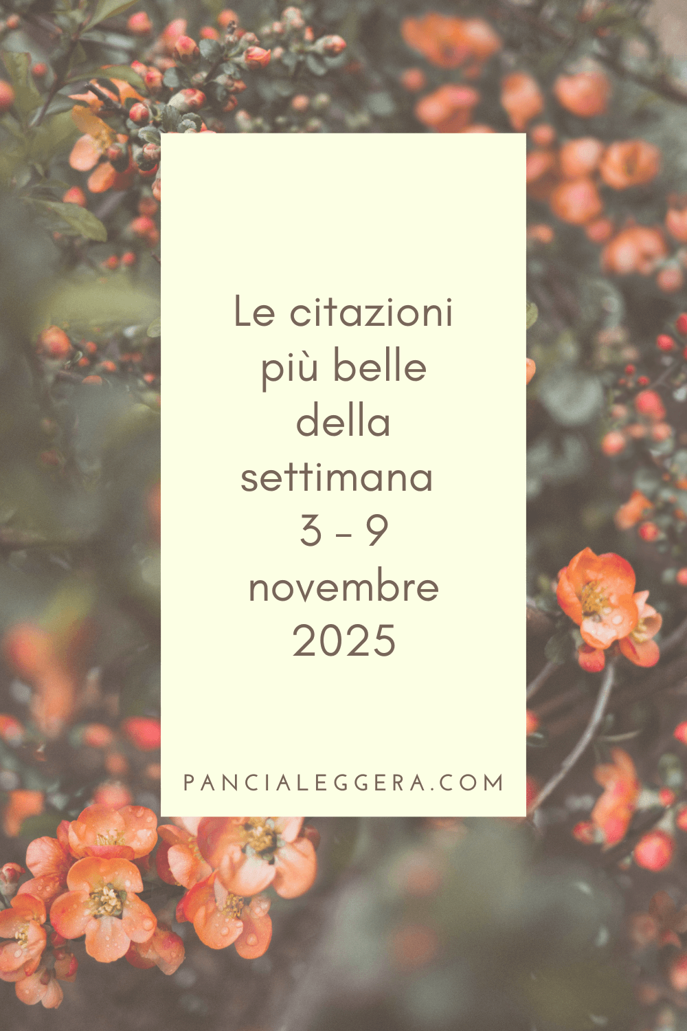 Frasi, aforismi e citazioni più belle della settimana 3 – 9 novembre 2025